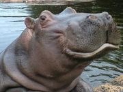 SKYさんの豊橋総合動植物公園(のんほいパーク)の投稿写真1