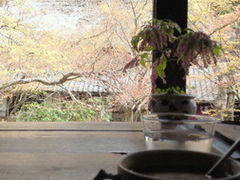 ヤマさんの茶房 天井棧敷への投稿写真1