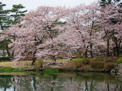 ヤマメさんの敷島公園への投稿写真1