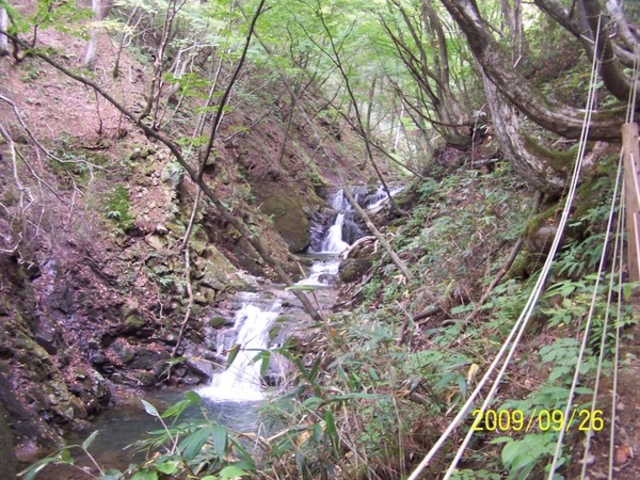 くーママさんのあだたら渓谷奥岳自然遊歩道の投稿写真1