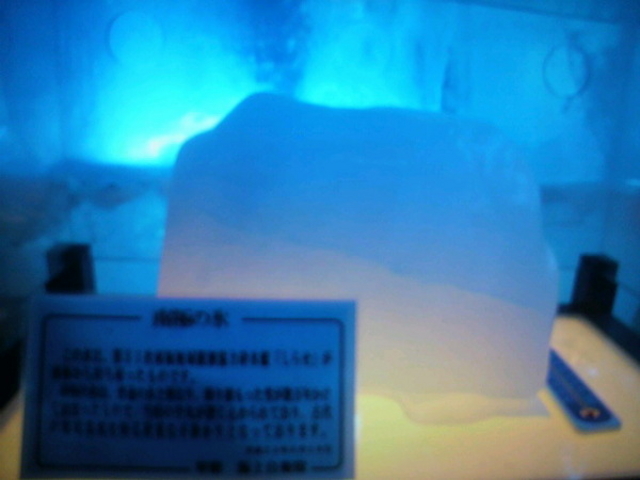 氷の水族館-Ice Aquarium-