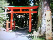 ラリマーさんの白山神社の投稿写真1