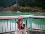 ラリマーさんの浦山ダムの投稿写真1