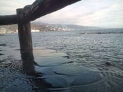 かりめさんの磯料理・海辺の湯の宿平鶴(ひらつる)の投稿写真1