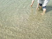 ガンモさんの田ノ浦ビーチの投稿写真1