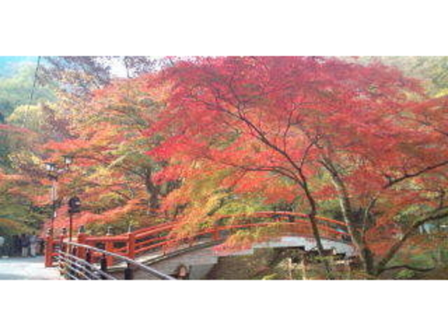 湯元茶屋