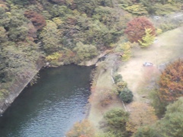 せいめいさんの花貫さくら公園の投稿写真1