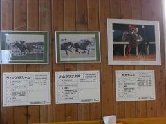 WANさんの大山乗馬センターへの投稿写真1