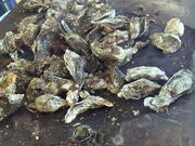 ともさんの松島さかな市場の投稿写真1