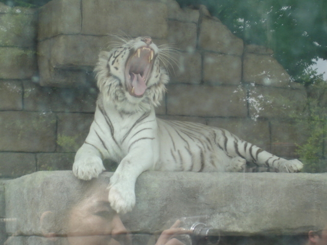 東武動物公園