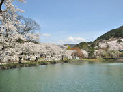 ココットさんの真人公園の投稿写真1