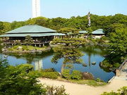 チャッキーさんの大仙公園の投稿写真1