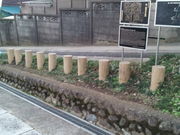 ラリマーさんの霞ノ関南木戸柵跡の投稿写真1