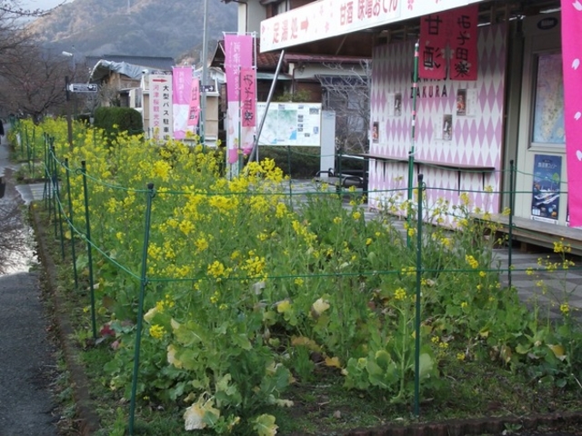 さくらの足湯処