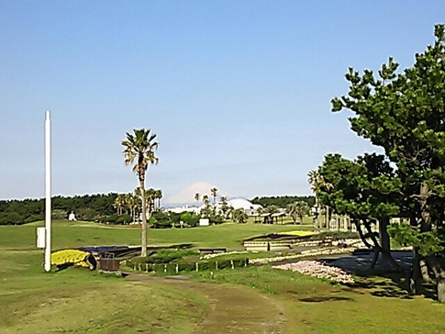 神奈川県立辻堂海浜公園