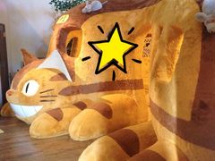 伊豆テディベア・ミュージアムの写真1