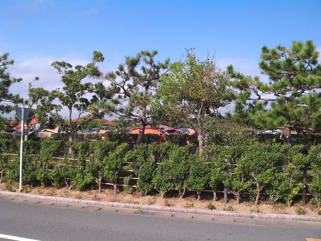 外側風景_竜洋海洋公園オートキャンプ場