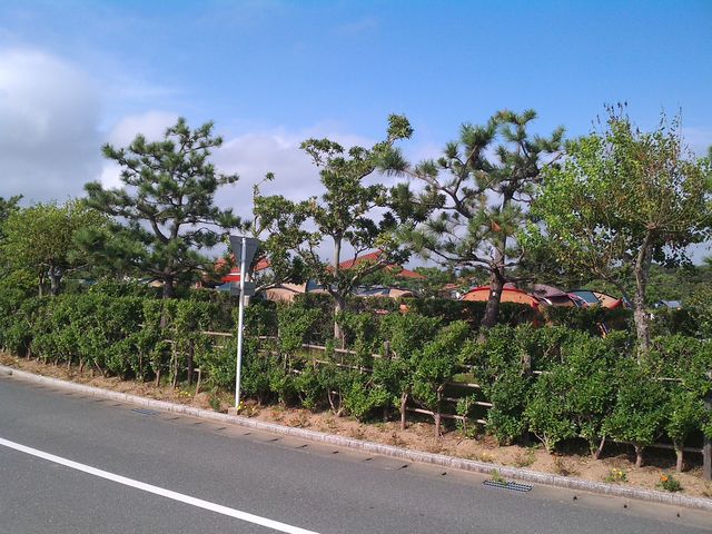 竜洋海洋公園オートキャンプ場