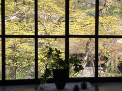 プーさんの茶房 天井棧敷への投稿写真1
