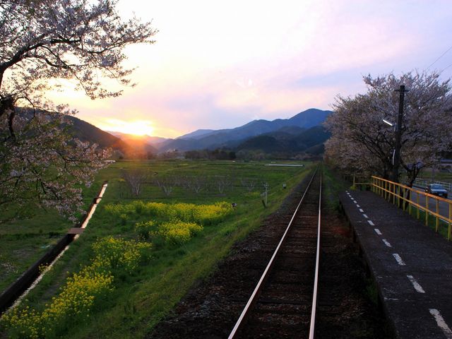 樽見鉄道沿線夕景_樽見鉄道