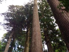 りりさんの鳳来寺山への投稿写真1