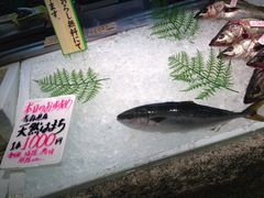 魚太郎本店 浜焼きバーベキューの写真1