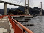 ベアベアさんの呼子大橋の投稿写真1