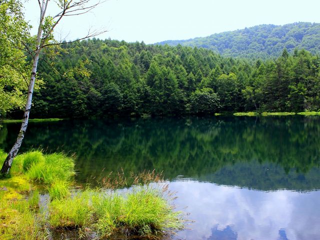 一応立ち入り禁止です。
水際はぬかるんでました。_奥蓼科(おしどり隠しの滝・御射鹿池)