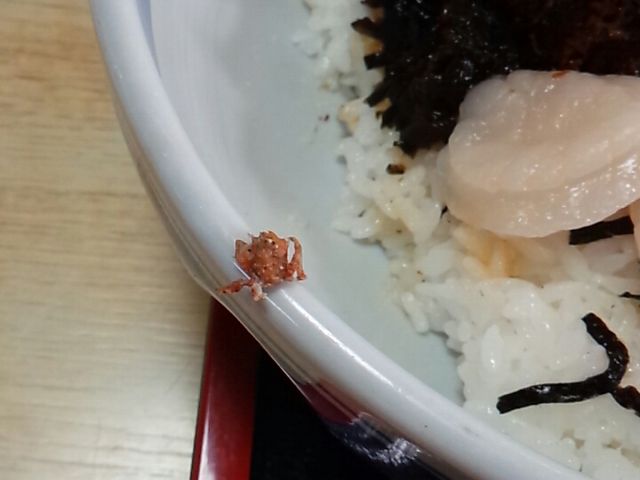 カニ〓_民宿 青塚食堂