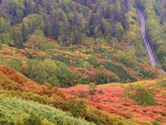 クッシーさんの銀泉台への投稿写真5