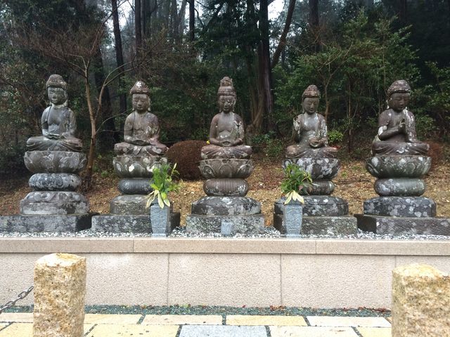 あがっち!さんの初山宝林寺の投稿写真5