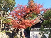 あがっち!さんの岩水寺の投稿写真3