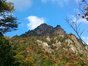 しのさんの雪彦山の投稿写真1