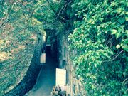 よりさんの矢筈山キャンプ場の投稿写真3
