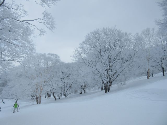 樹氷(霧氷)の中を滑ります。_野沢温泉スキー場