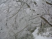 岳さんの金剛山の投稿写真1