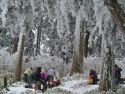 岳さんの金剛山の投稿写真3