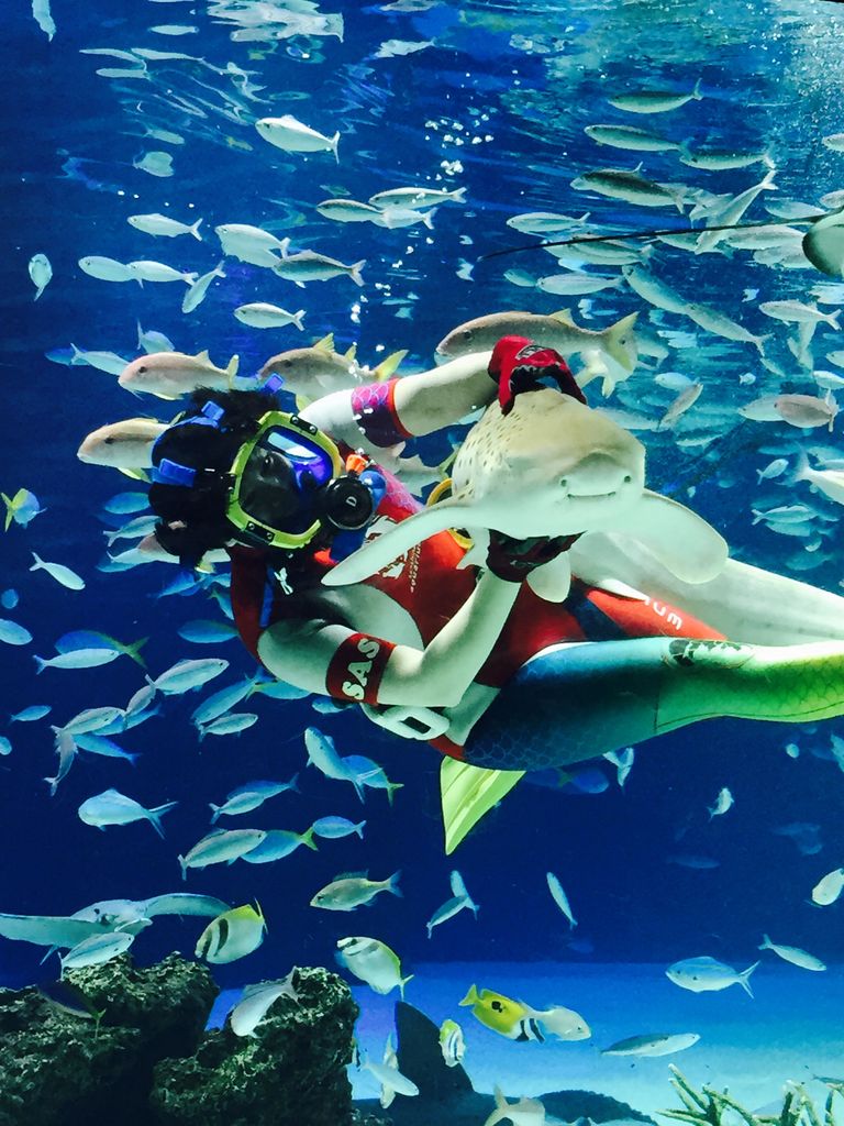サンシャイン水族館