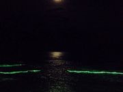かえるさんのいわき蟹洗温泉太平洋健康センターの投稿写真1