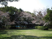 いわぴいさんの海老山公園の投稿写真4