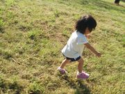 ほのりりママさんのキャンベルタウン野鳥の森の投稿写真1