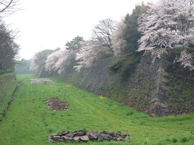雨の名城も良かったです。_名城公園