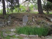 雷雷クーンさんの辻嵐外の句碑の投稿写真1