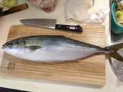 ぱら吉さんの御前崎海鮮なぶら市場の投稿写真1