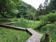 うーさちゃん☆さんの県立座間谷戸山公園の投稿写真1