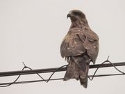 zinさんの明神池(山口県萩市)の投稿写真3