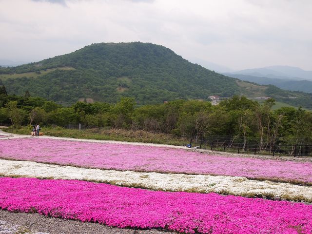 茶臼山・萩太郎山