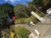 ぱくさんの大興善寺のツツジ・モミジの投稿写真1