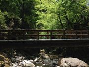 うぃりーさんの日原鍾乳洞の投稿写真1