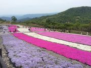 くおんさんの茶臼山・萩太郎山の投稿写真1